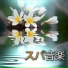 スパ リラクゼーション