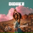 DIDIIKE