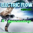 Electric Flow(ex DJ TvorogOFF)