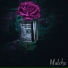 Malcho