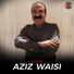kurdish dace song 2011