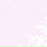 Isotrop
