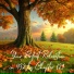 Essential Sleep Music, Alexander Grosskord