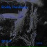 Roddy Hutchison