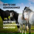 Dueto Dos Generaciones