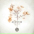 Tepon