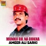 Ameer Ali Sarki