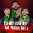 Touqeer Brothers