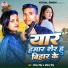 Vishal Singh, Ankita Singh