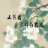 张钰儿