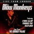 The Blow Monkeys