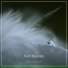 Rain Sounds
