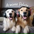 Club de Música para Perros