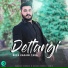 Reza Karami Tara