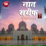 Hajrat Hunar Plamwi