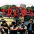 The Trews