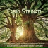 Fabio Strinati