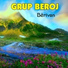 Grup Beroj
