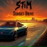 STIM