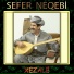 Sefer Neqebi