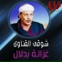 Shawky El Qenawy