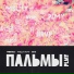 Пальмы