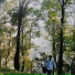 Shuji Kohguchi