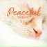 Restful Sleep Music Collection