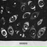 PYRRHIC x EMJAAY