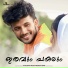 Nishad Puthucode