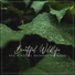 Wellness Sounds Relaxation Paradise