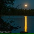 Lightophob
