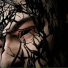 RAVAGES