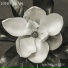 John Egan