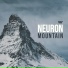 Neuron