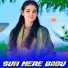 Harkesh Meena