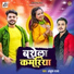 Ankush Raja, Shilpi Raj