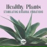 Healing Meditation Zone