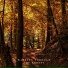 Walking through the Forest