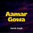 Gulab Saqib