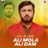 Zakir Ali Sheikh