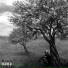 GRMN feat. WiSanity, Droy Blooe