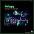 Holggy