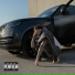 TRC