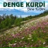 Denge Kurdi