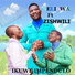 Neliswa Dlamini feat. Zishwili
