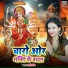 Kashi King