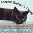 Warp Whistles Music