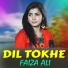 Faiza Ali