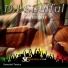 DJ Soulful